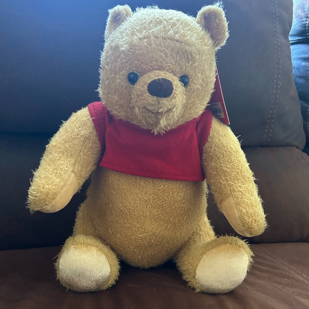 Winnie the Pooh Plush